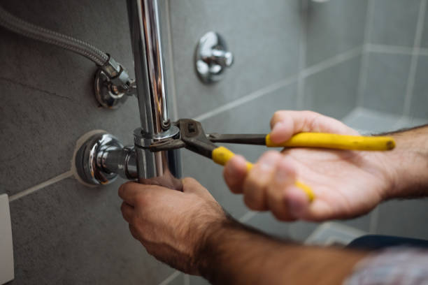 Best Local Plumber Services  in Throop, PA